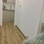 Maja *